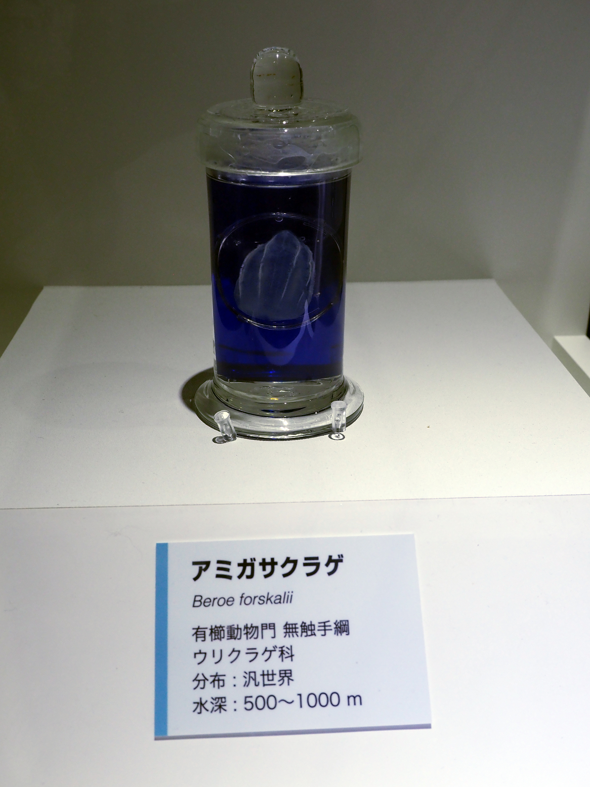 P9020146.jpg