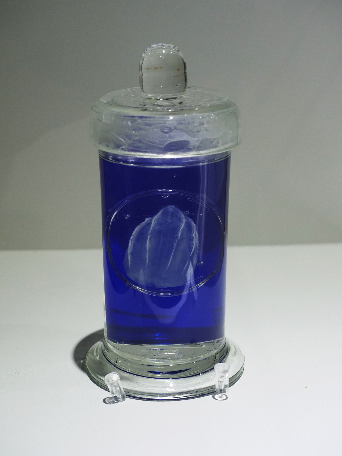 P9020147.jpg