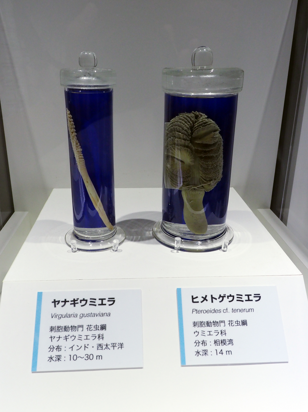 P9020148.jpg