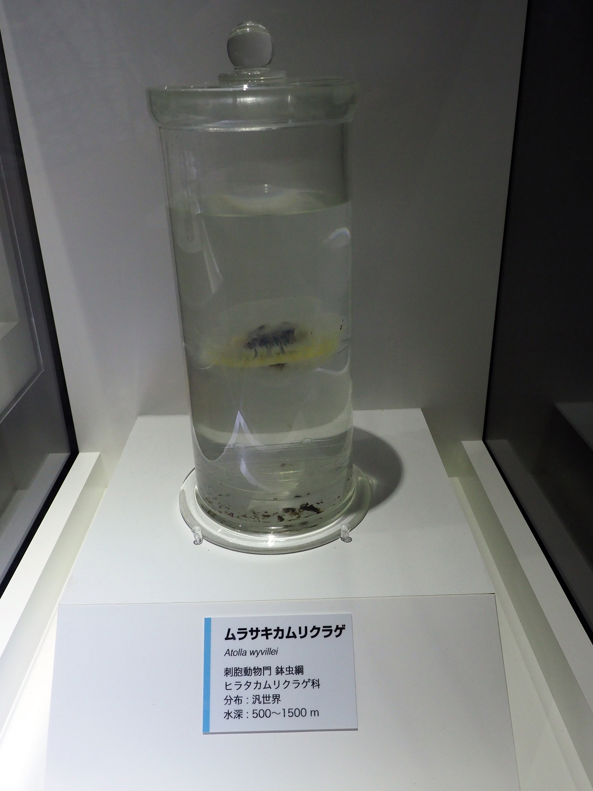 P9020149.jpg
