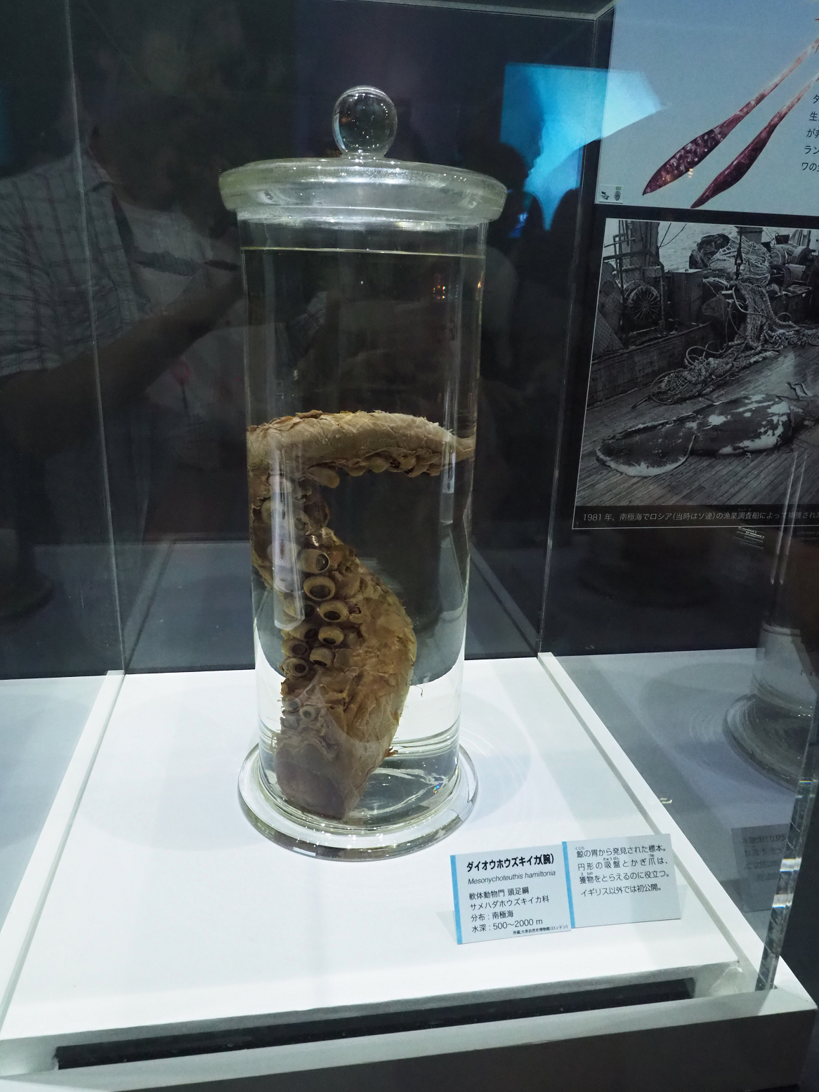 P9020151.jpg