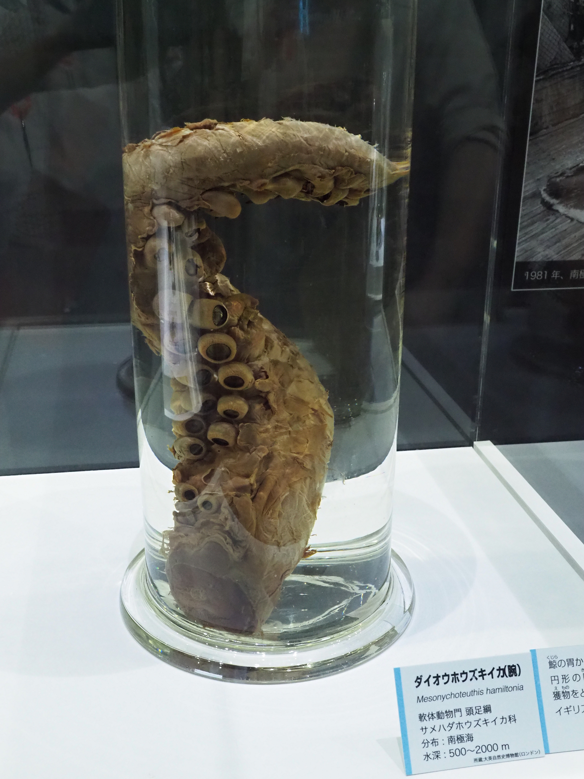 P9020152.jpg