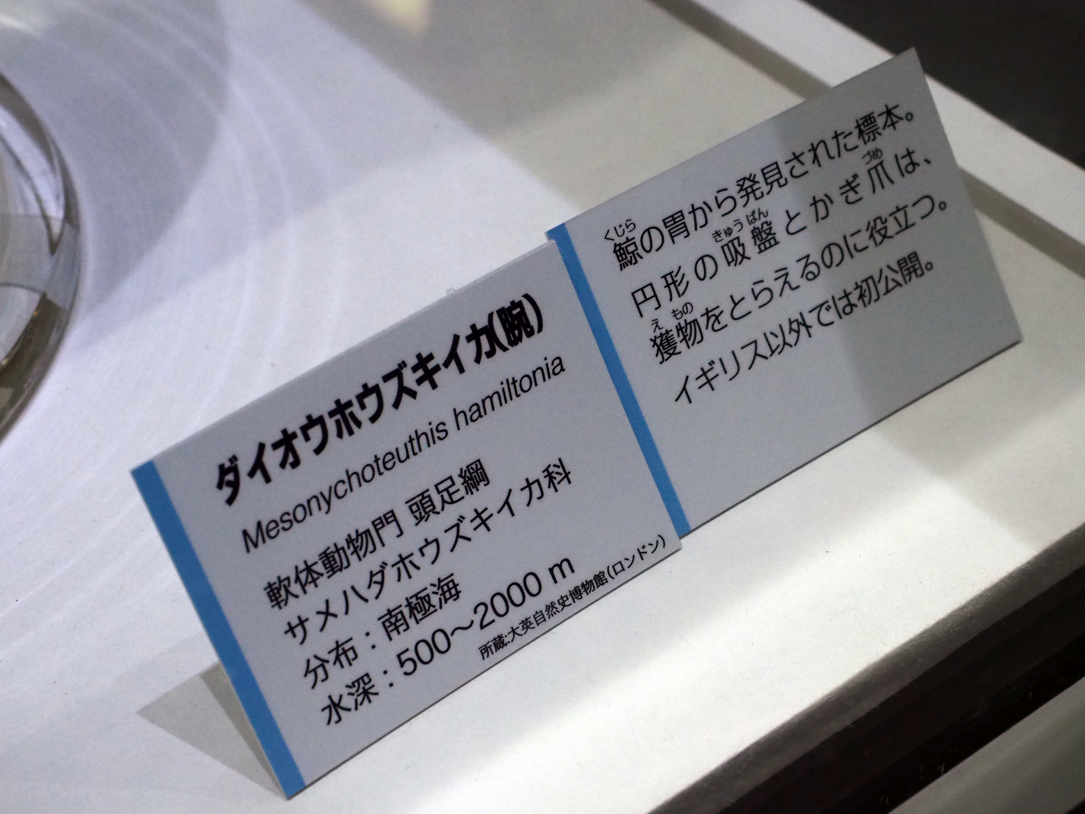 P9020154.jpg
