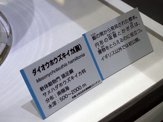 P9020154_thumb.png