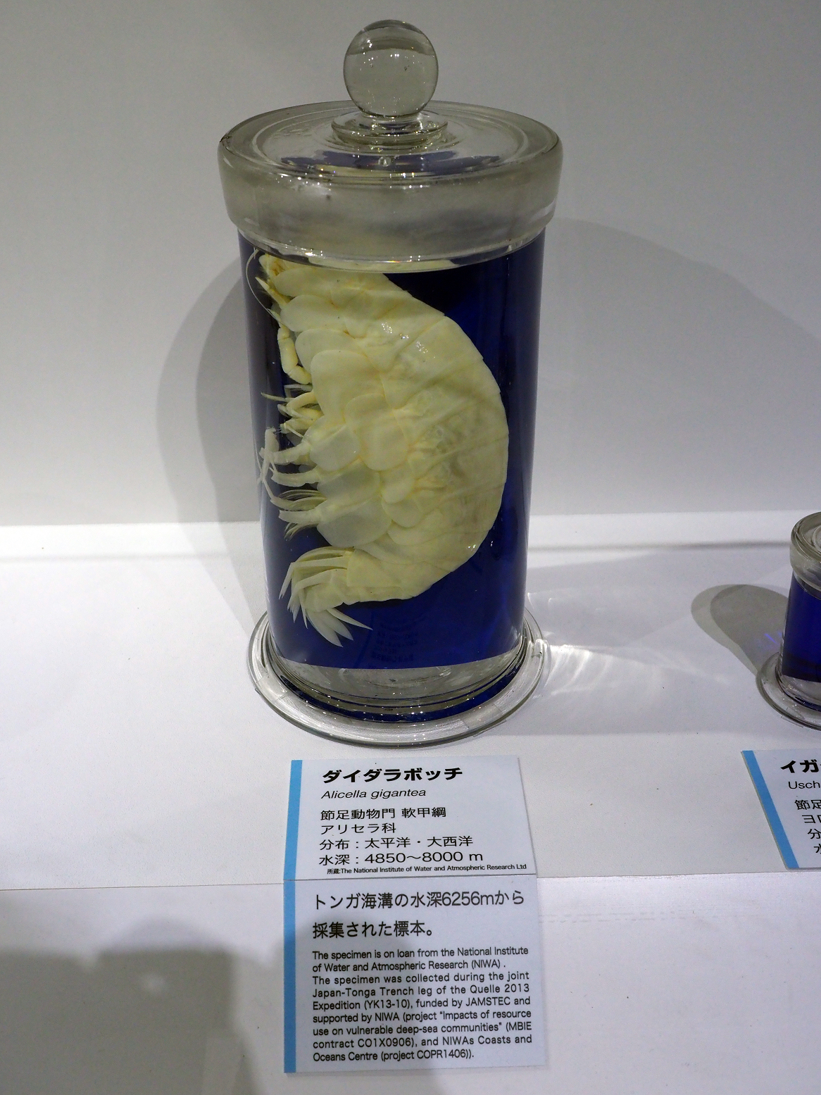 P9020159.jpg