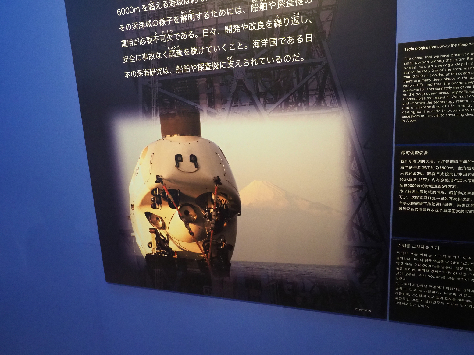 P9020178.jpg