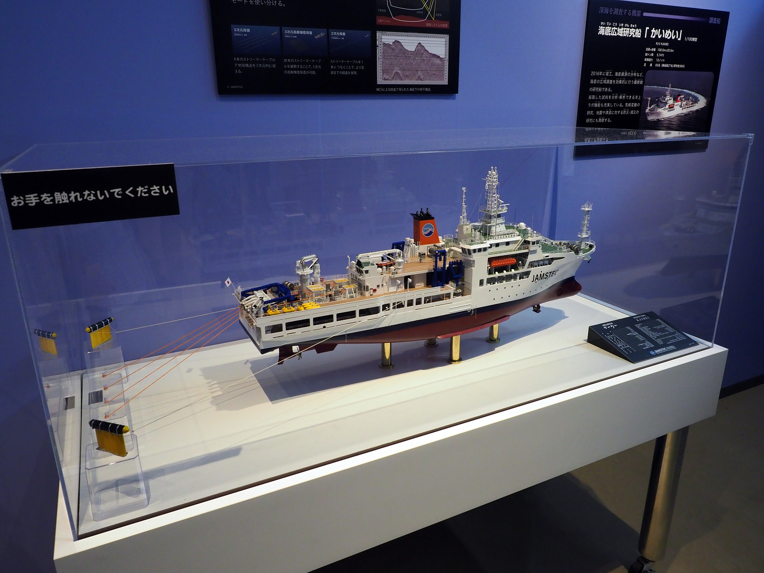P9020179.jpg