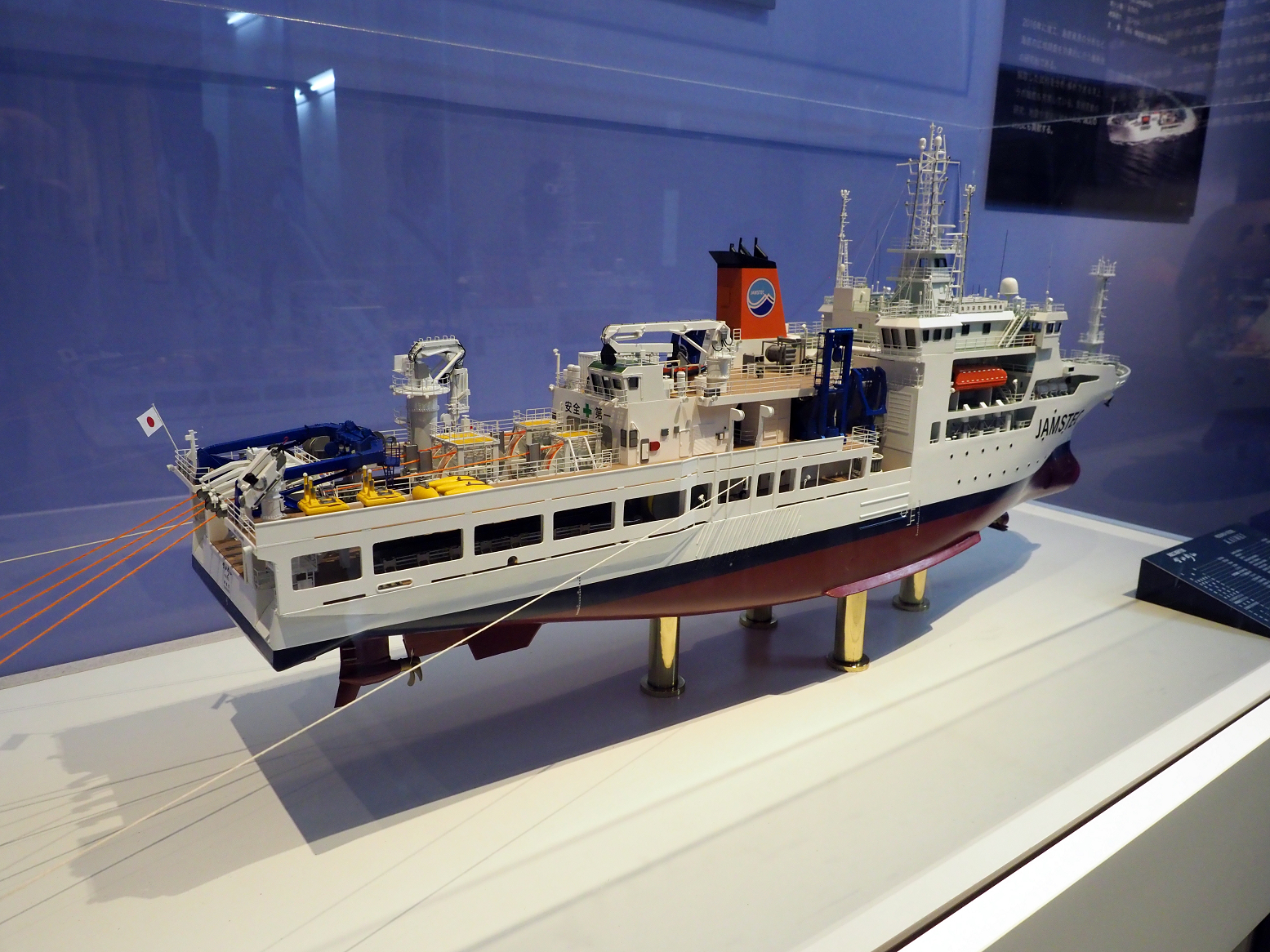 P9020180.jpg