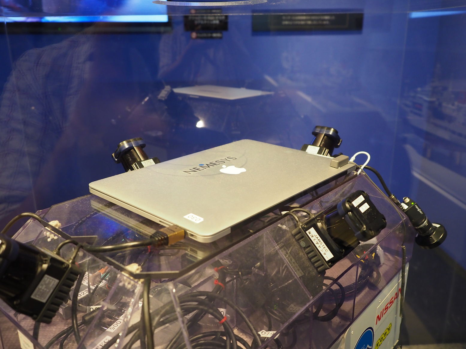 P9020185.jpg