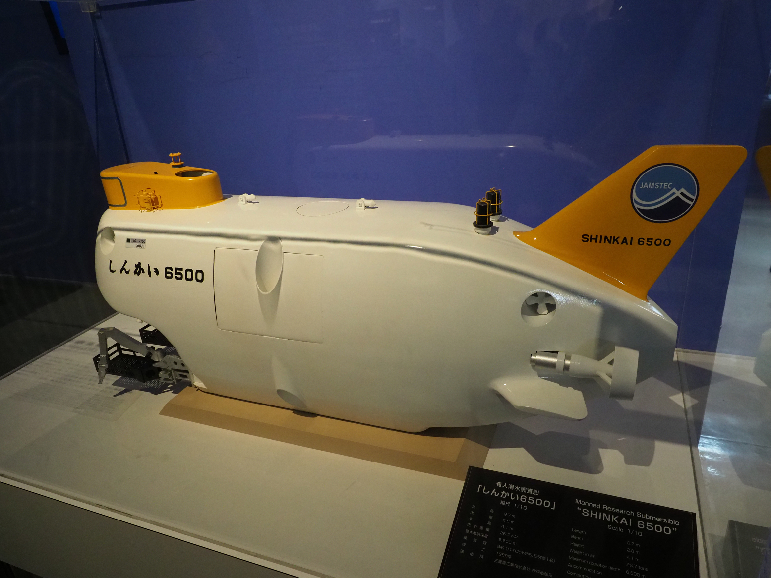 P9020192.jpg
