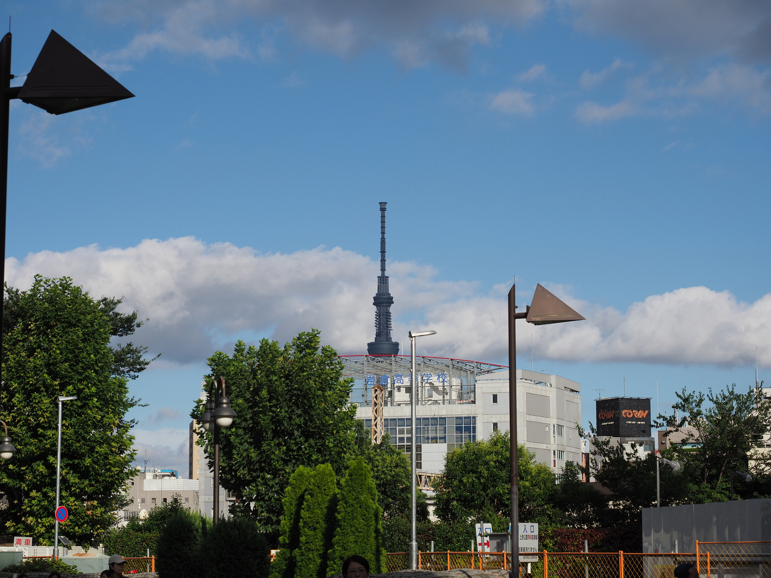 P9020210.jpg