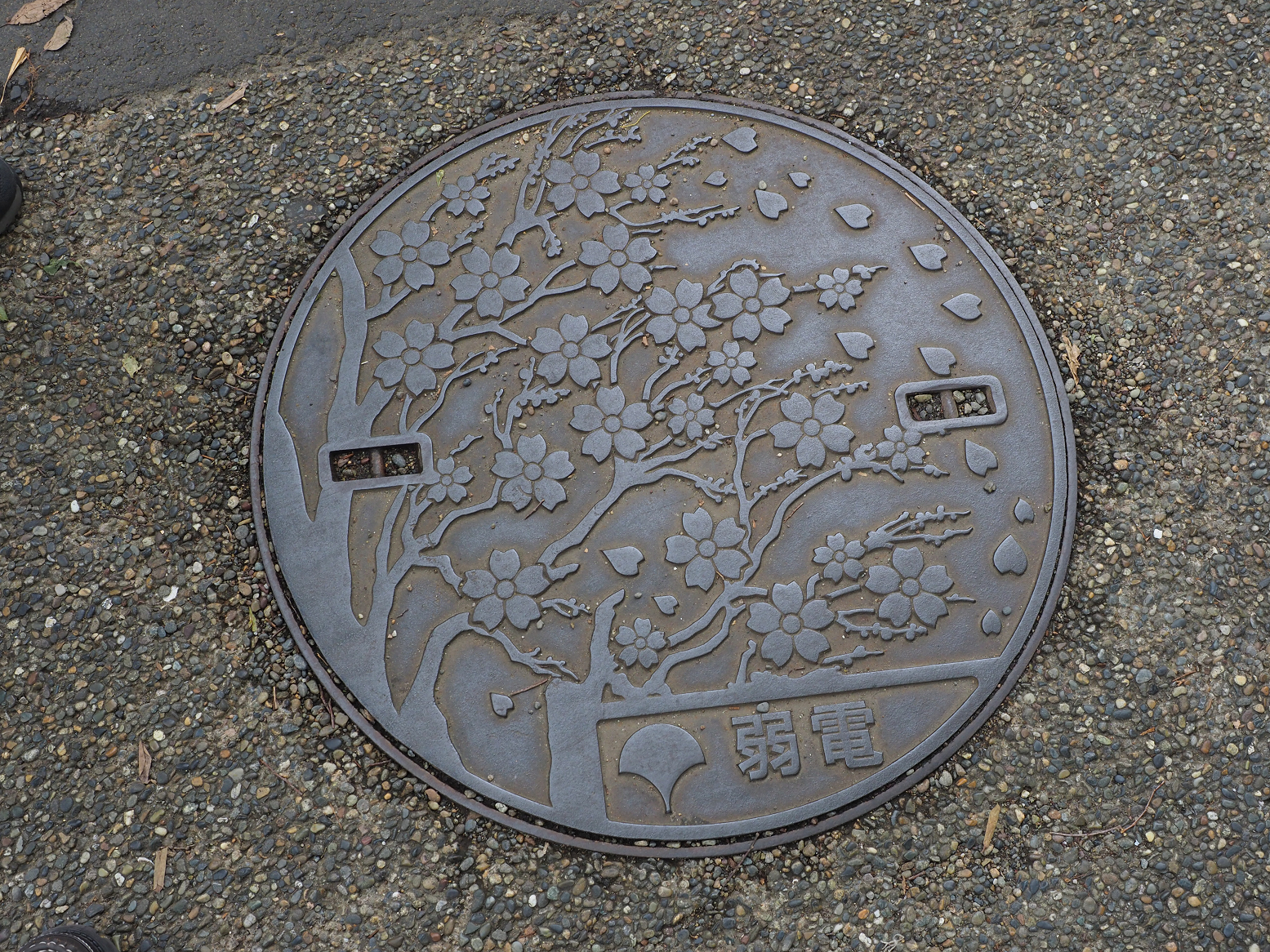 P9020212.jpg