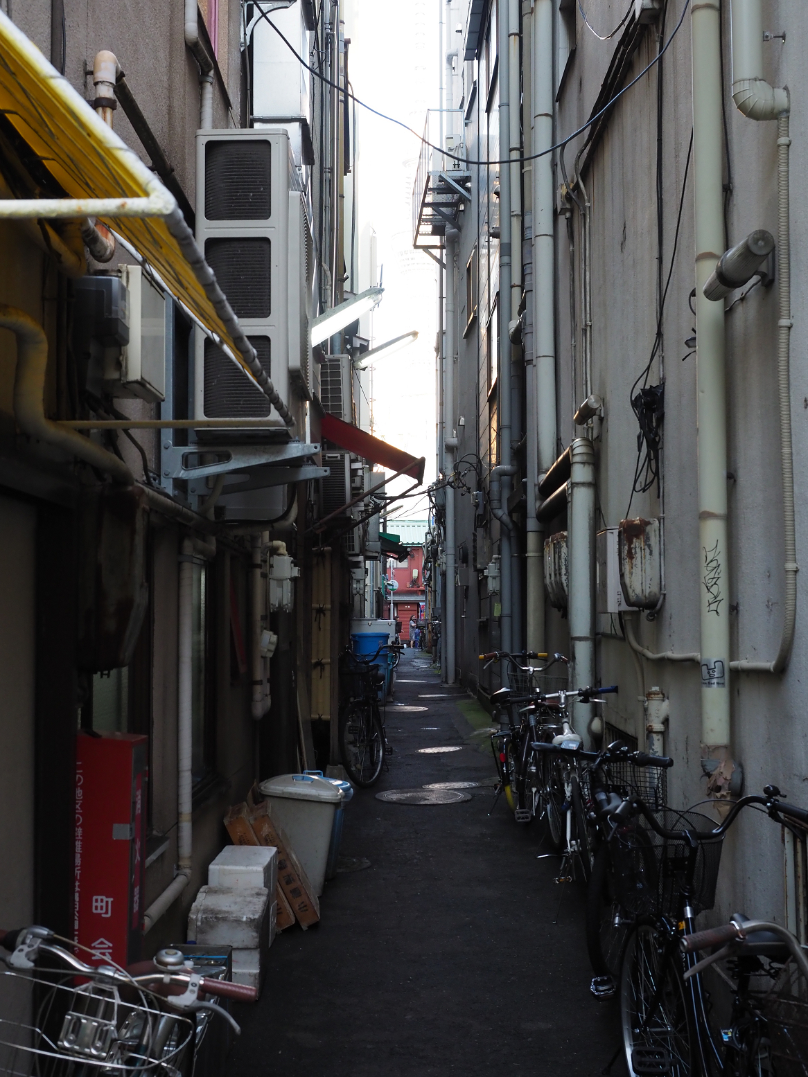 P9020219.jpg