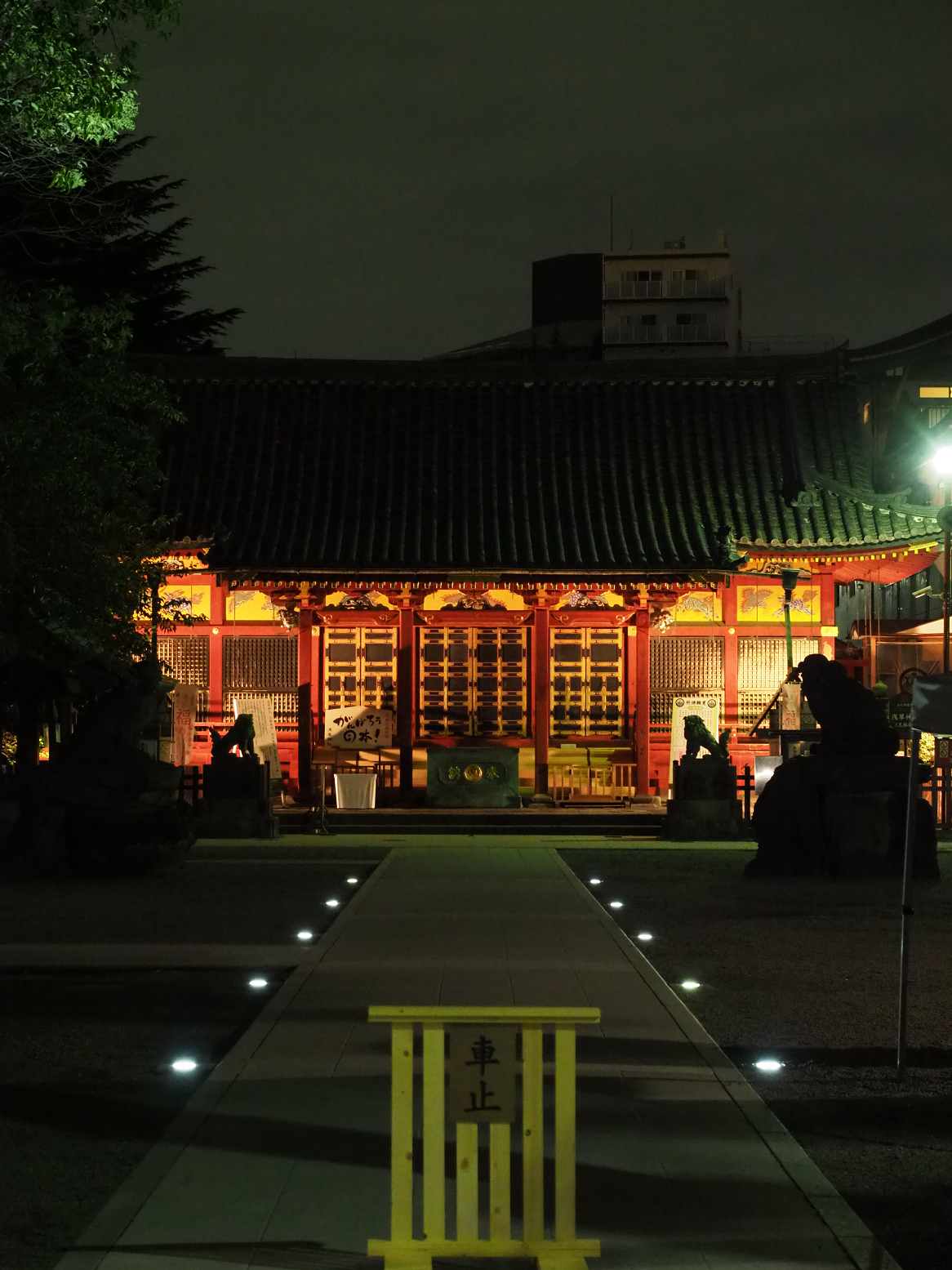 P9020298.jpg