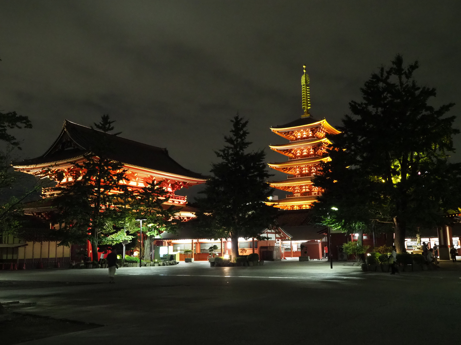 P9020300.jpg