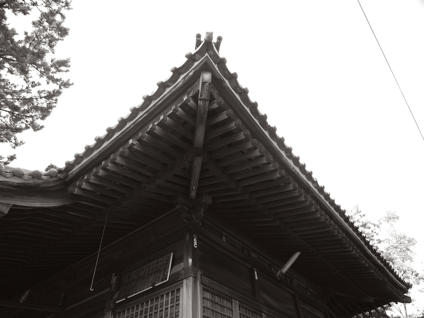 P9270042.jpg