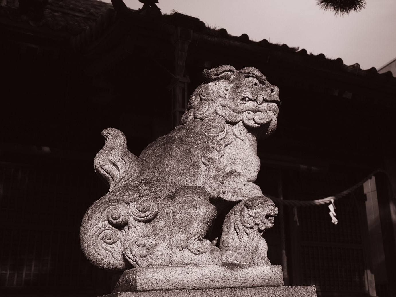 P9270046.jpg