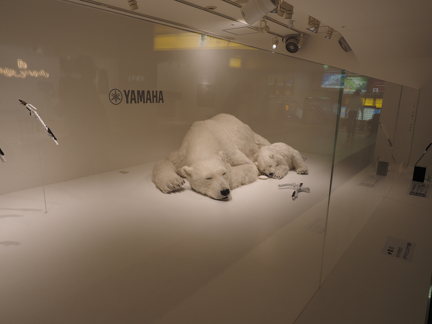 P9270150.jpg