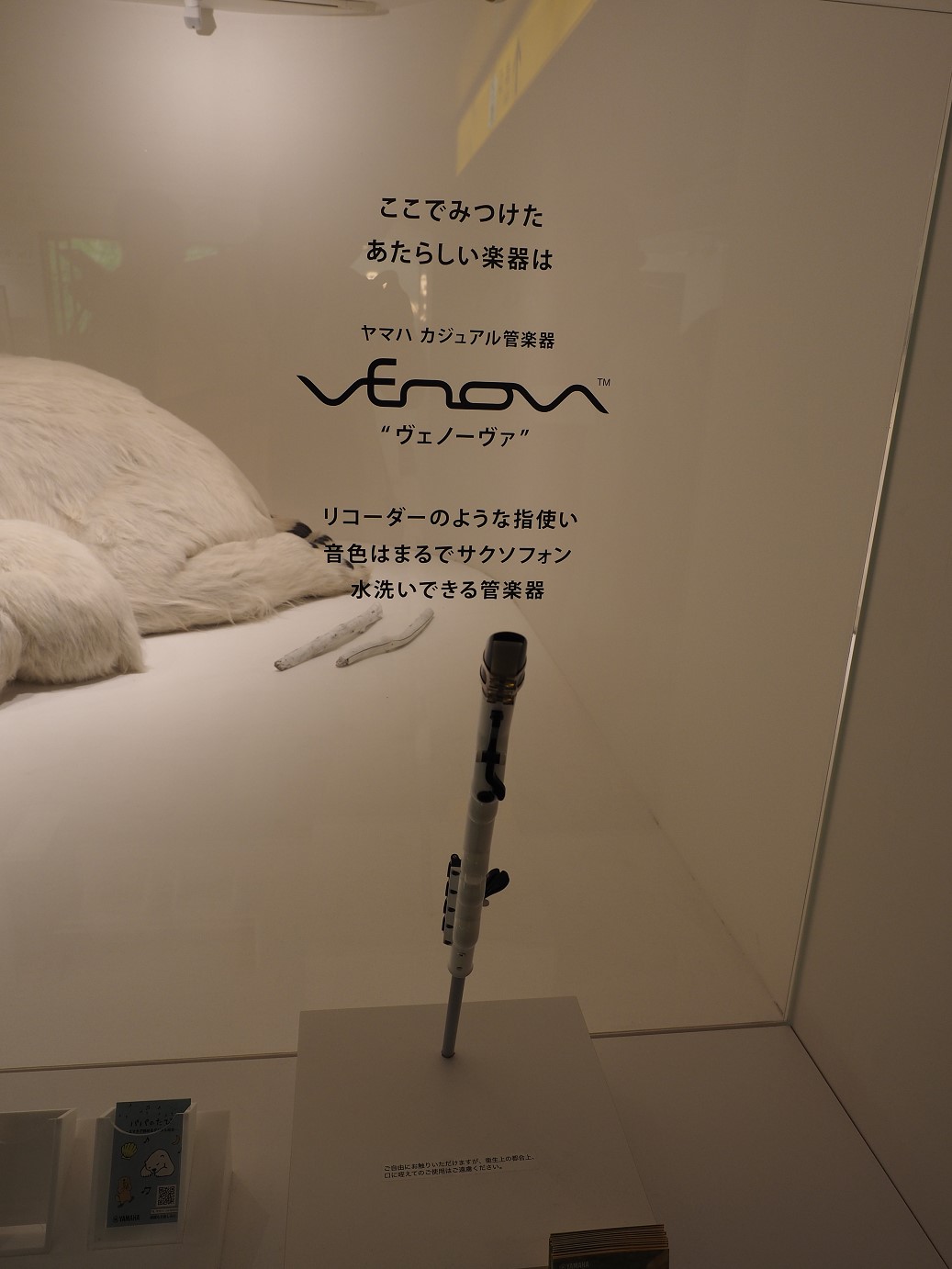 P9270153.jpg
