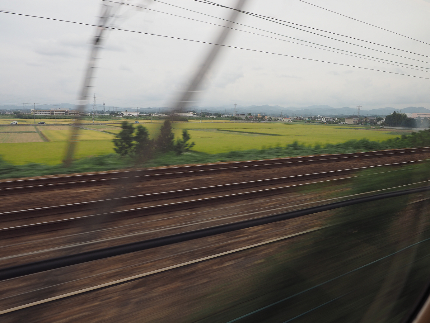 P9270230.jpg