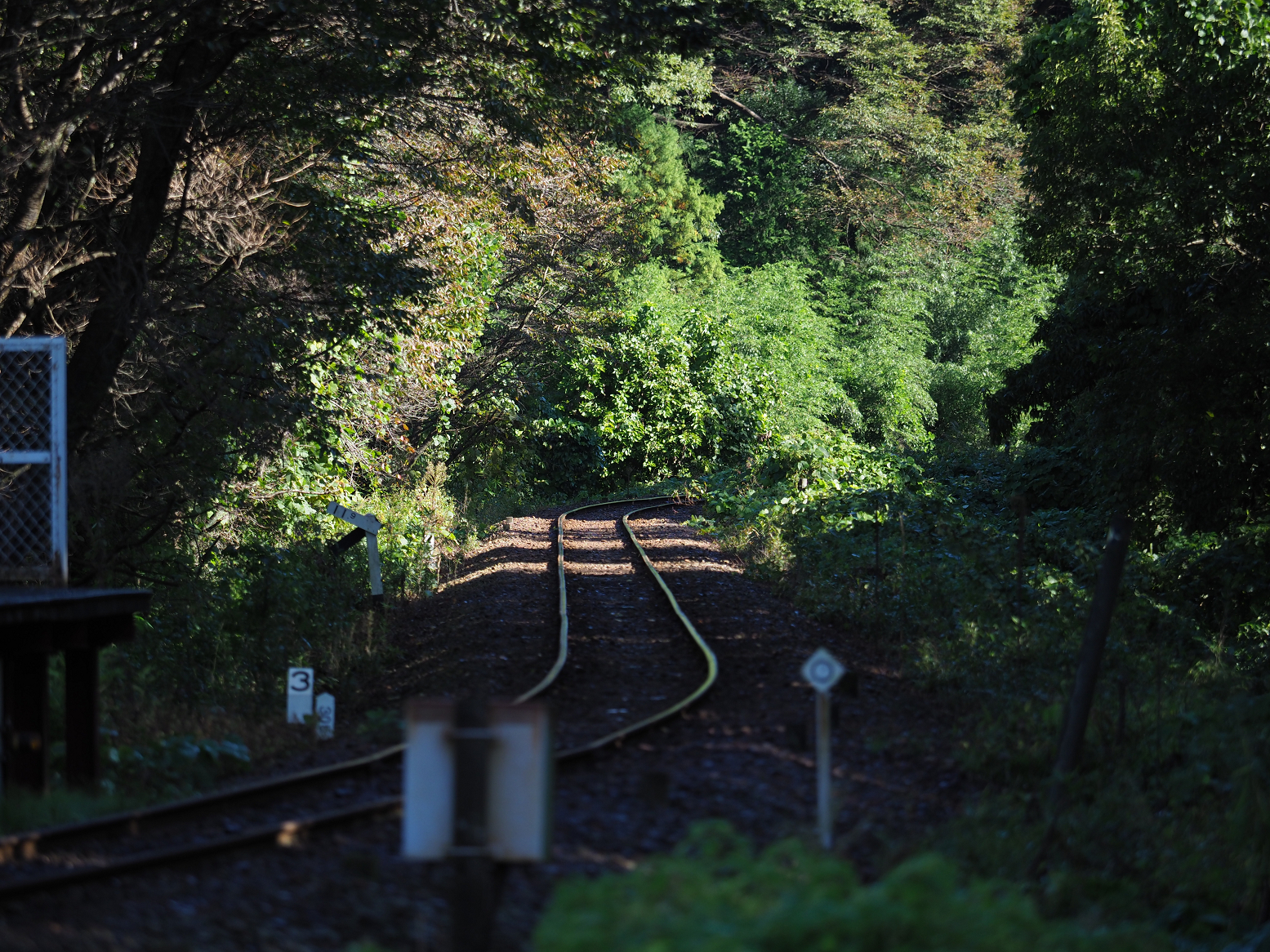 PA080014.jpg