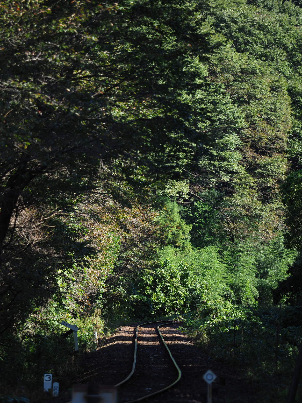 PA080015.jpg