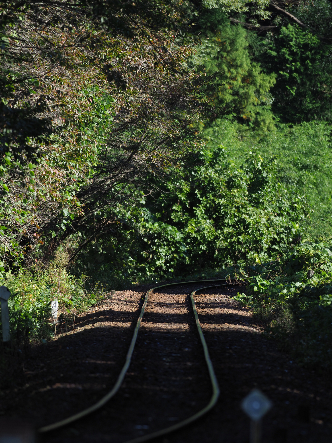 PA080035.jpg