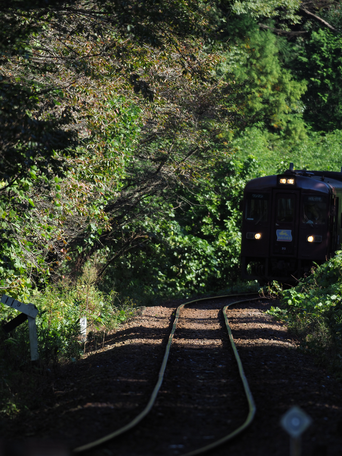 PA080037.jpg