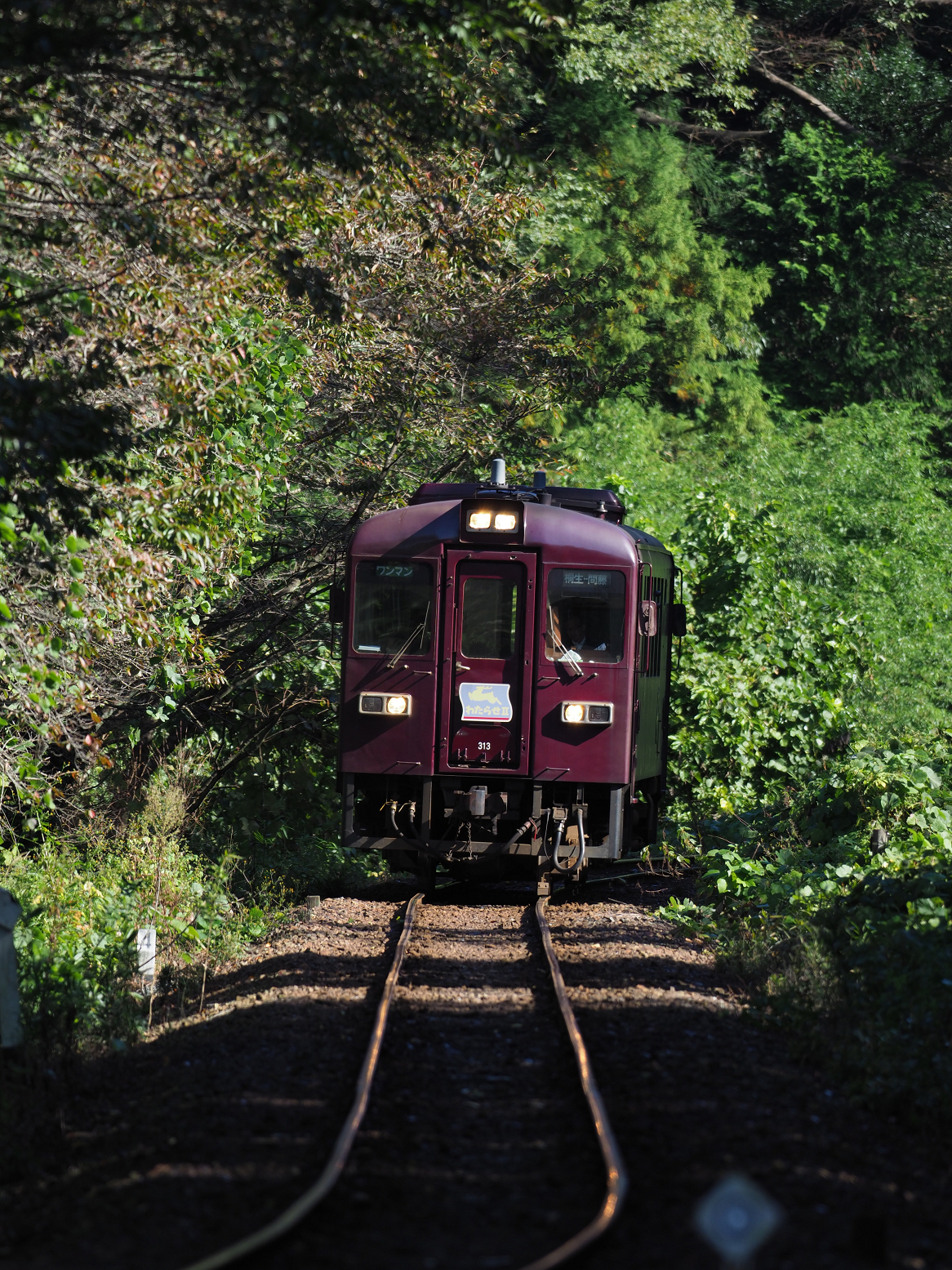 PA080038.jpg