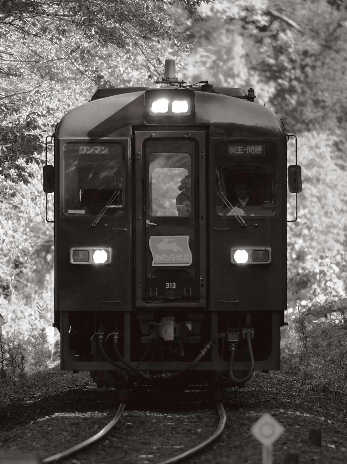 PA080044.jpg