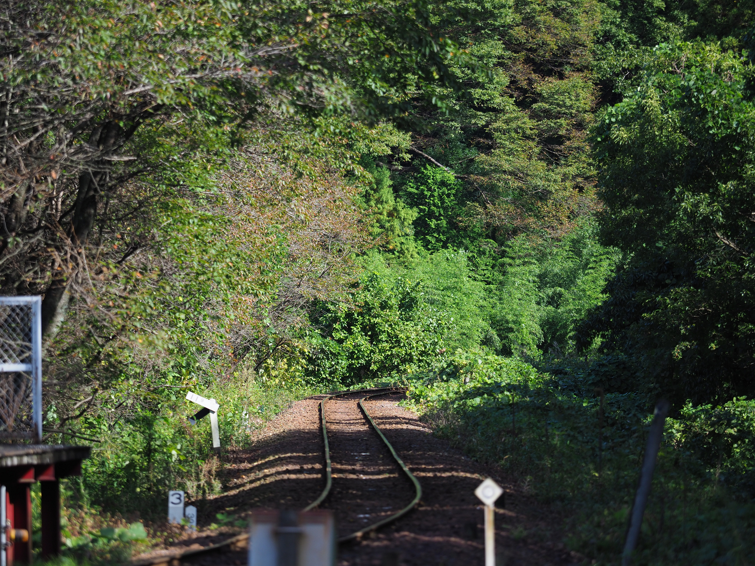 PA080063.jpg