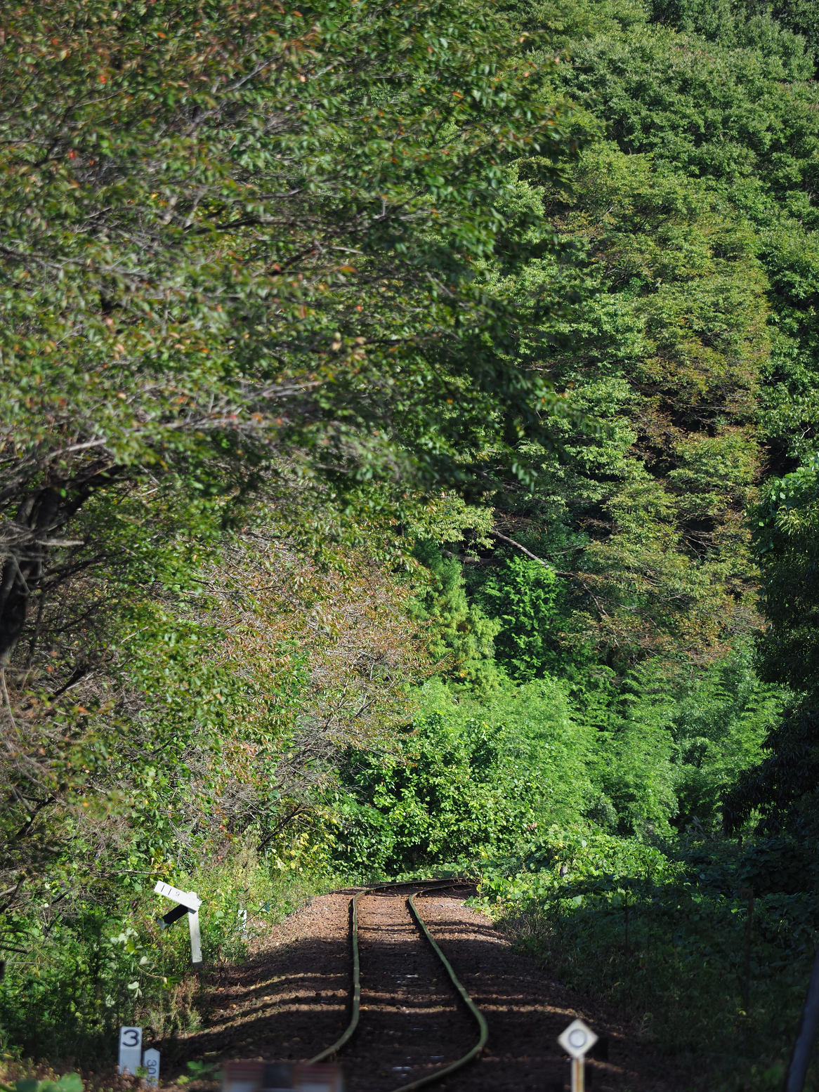 PA080064.jpg