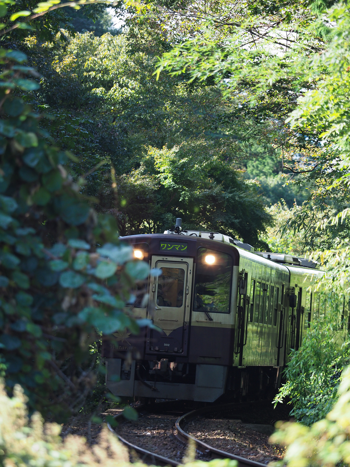 PA080066.jpg
