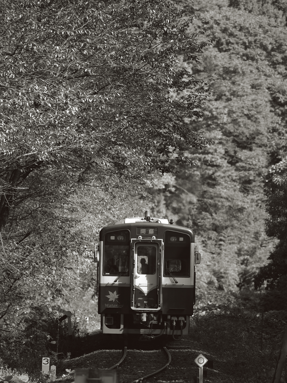 PA080071.jpg
