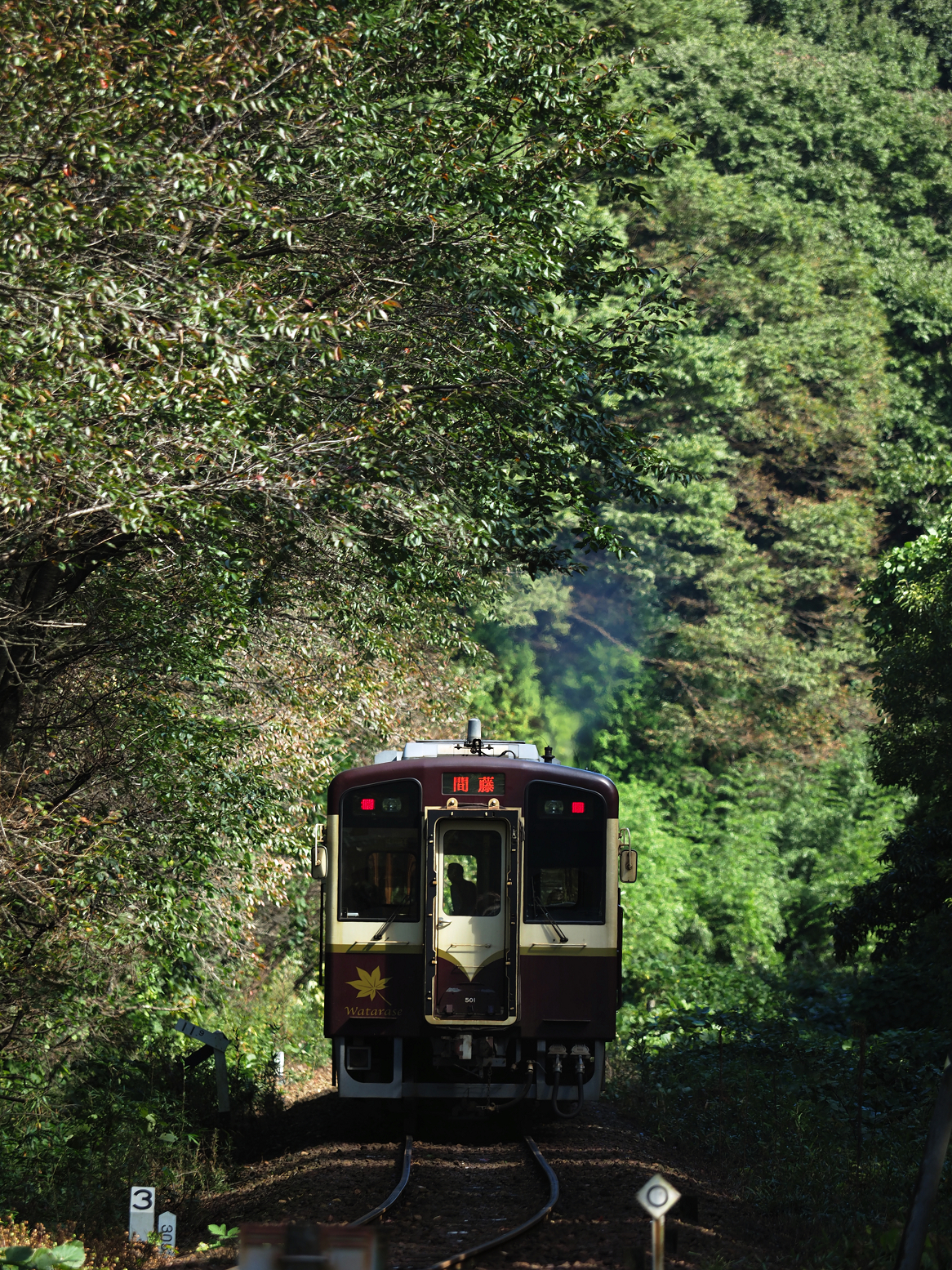 PA080073.jpg
