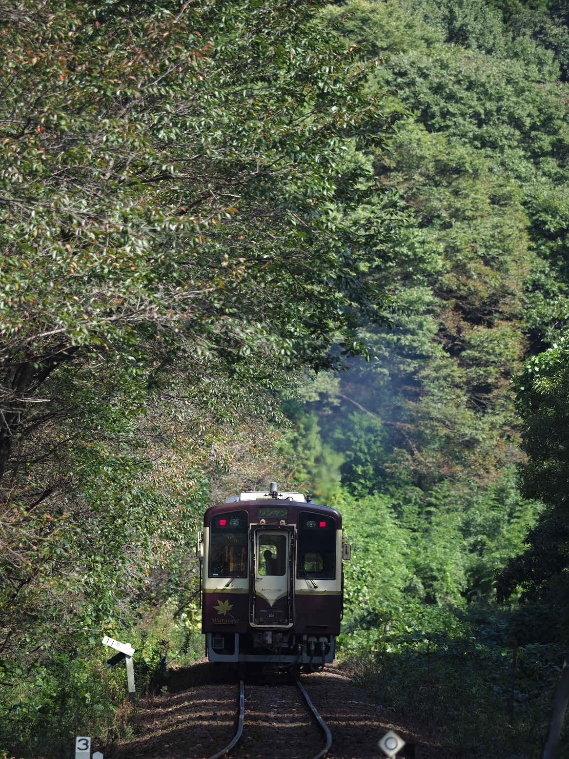 PA080076.jpg