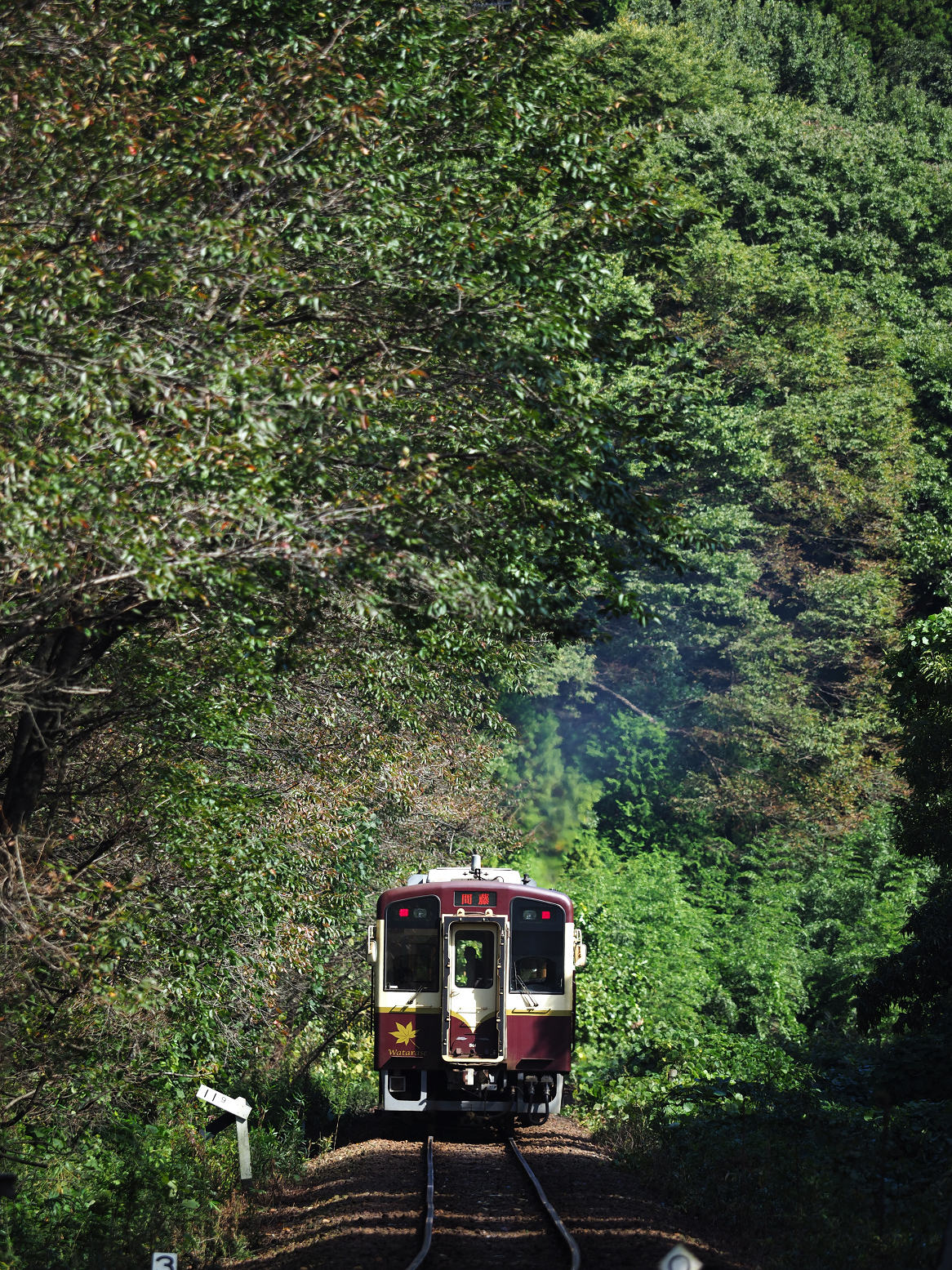 PA080077.jpg