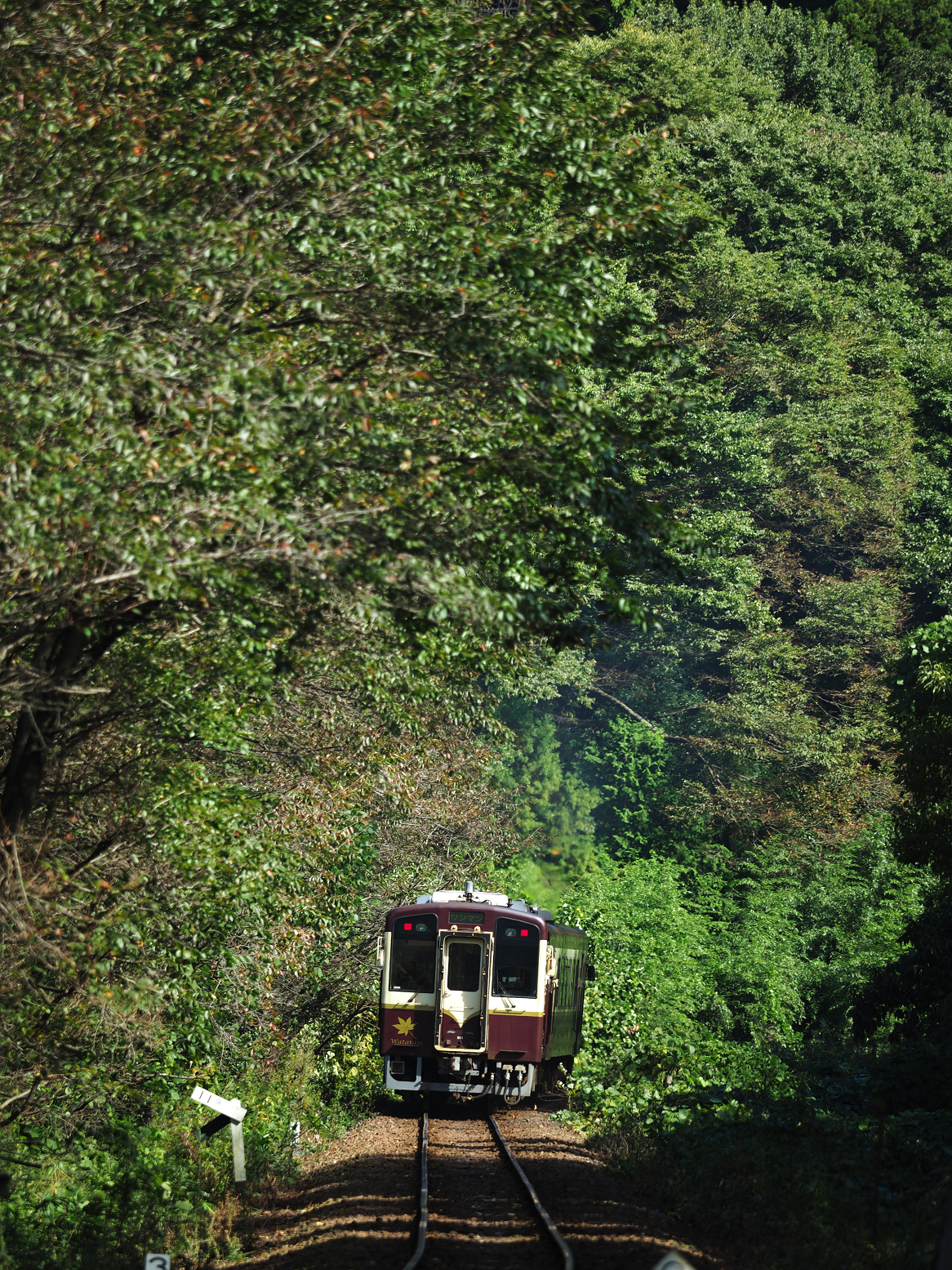 PA080078.jpg