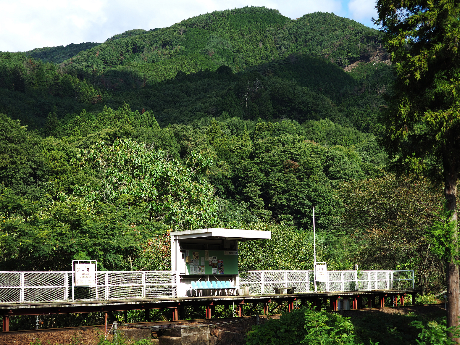 PA080079.jpg