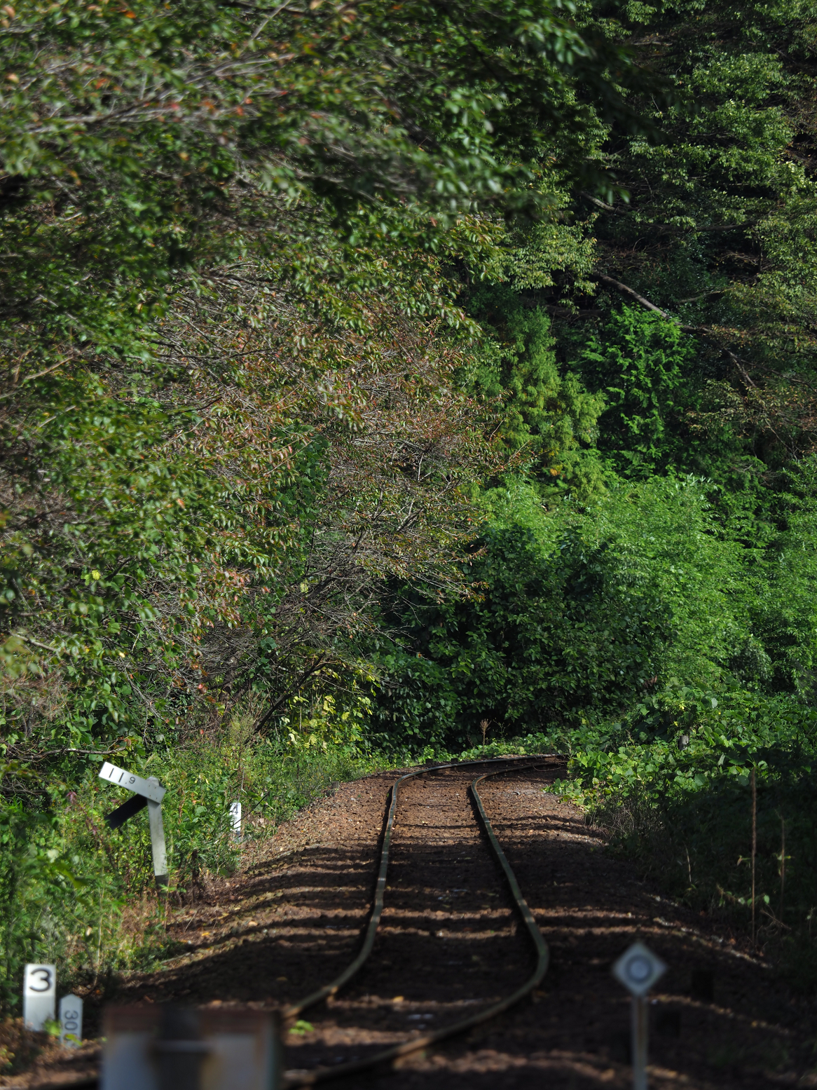 PA080102.jpg