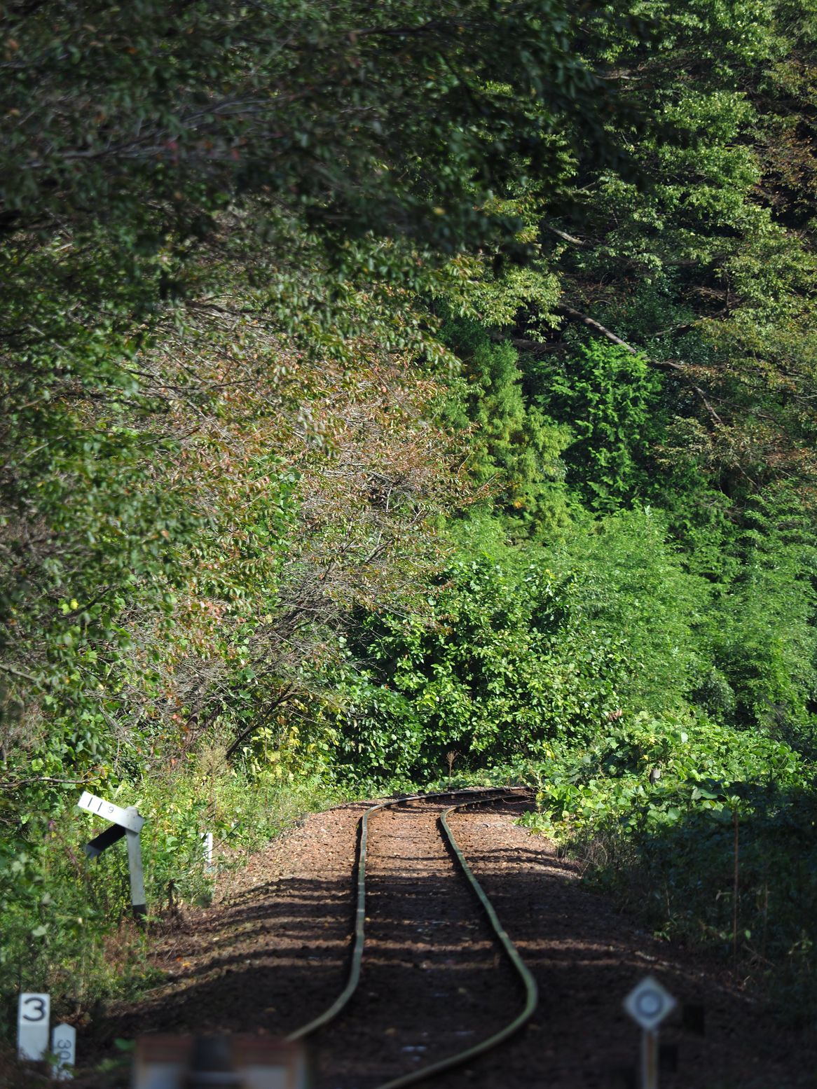 PA080116.jpg