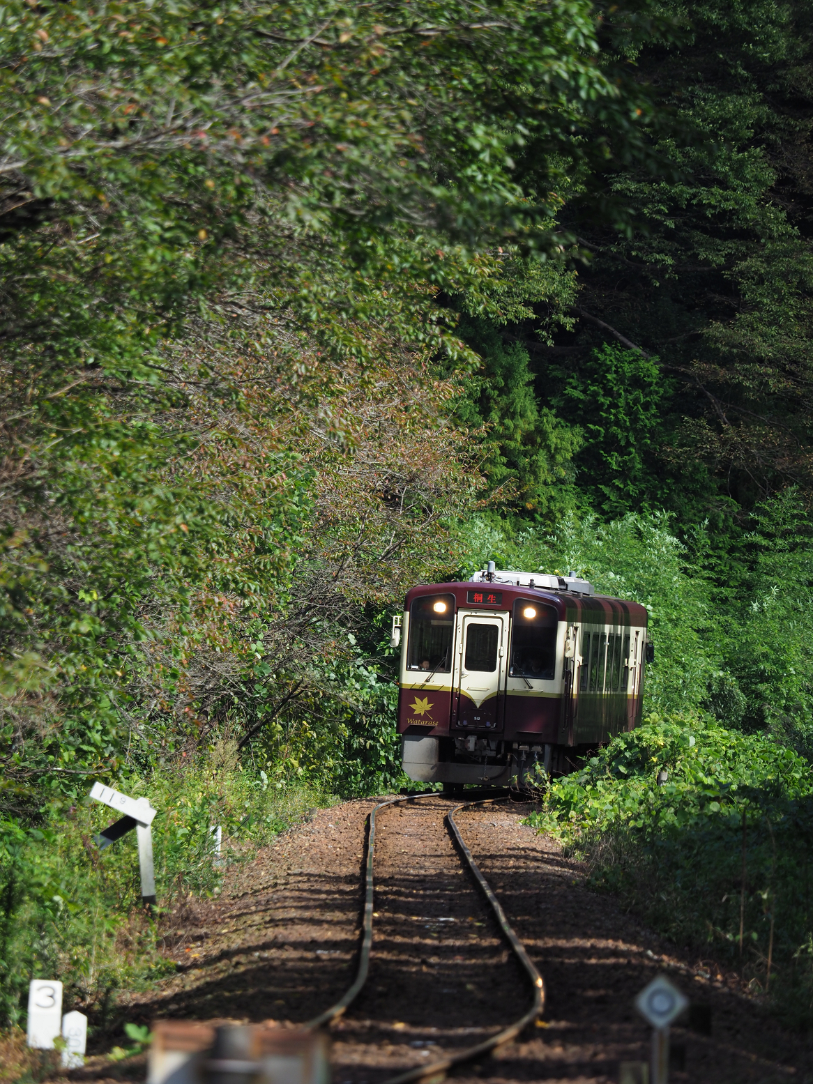 PA080124.jpg