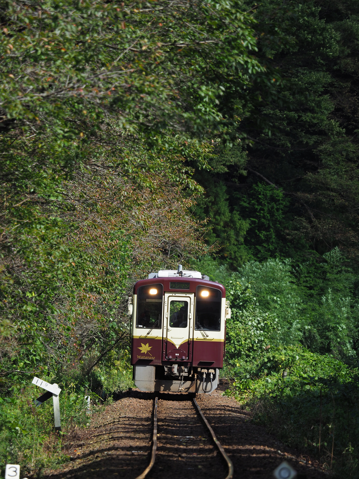 PA080125.jpg