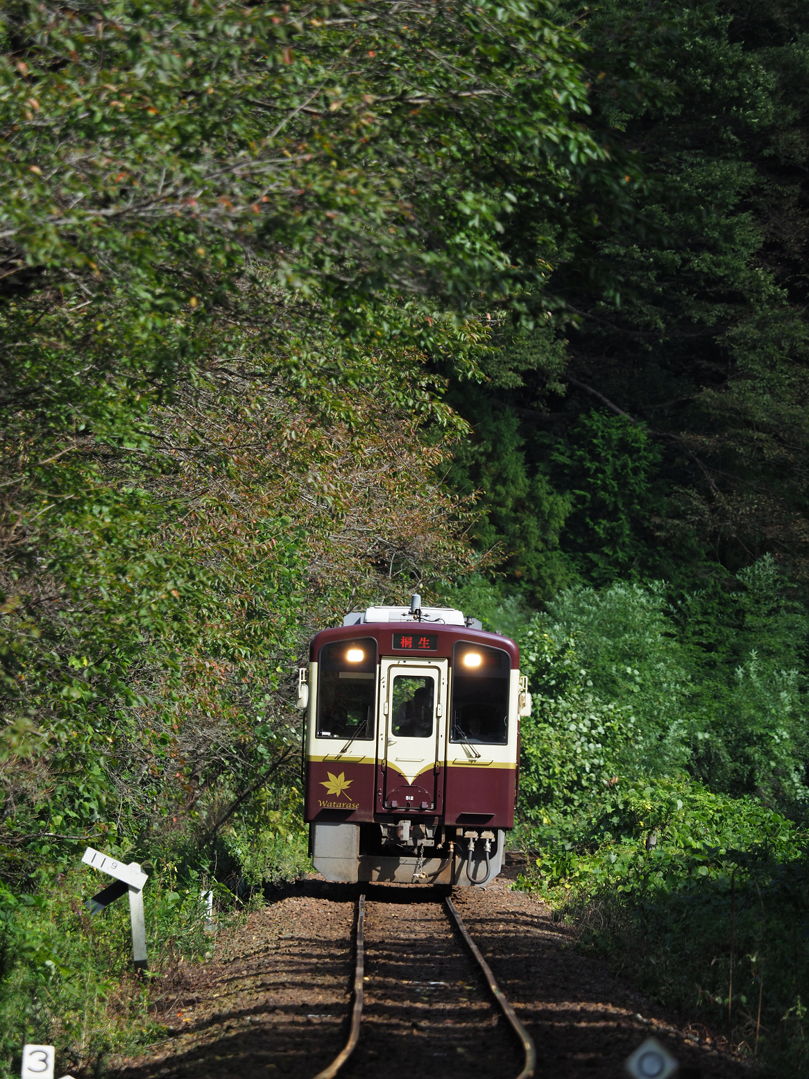 PA080127.jpg