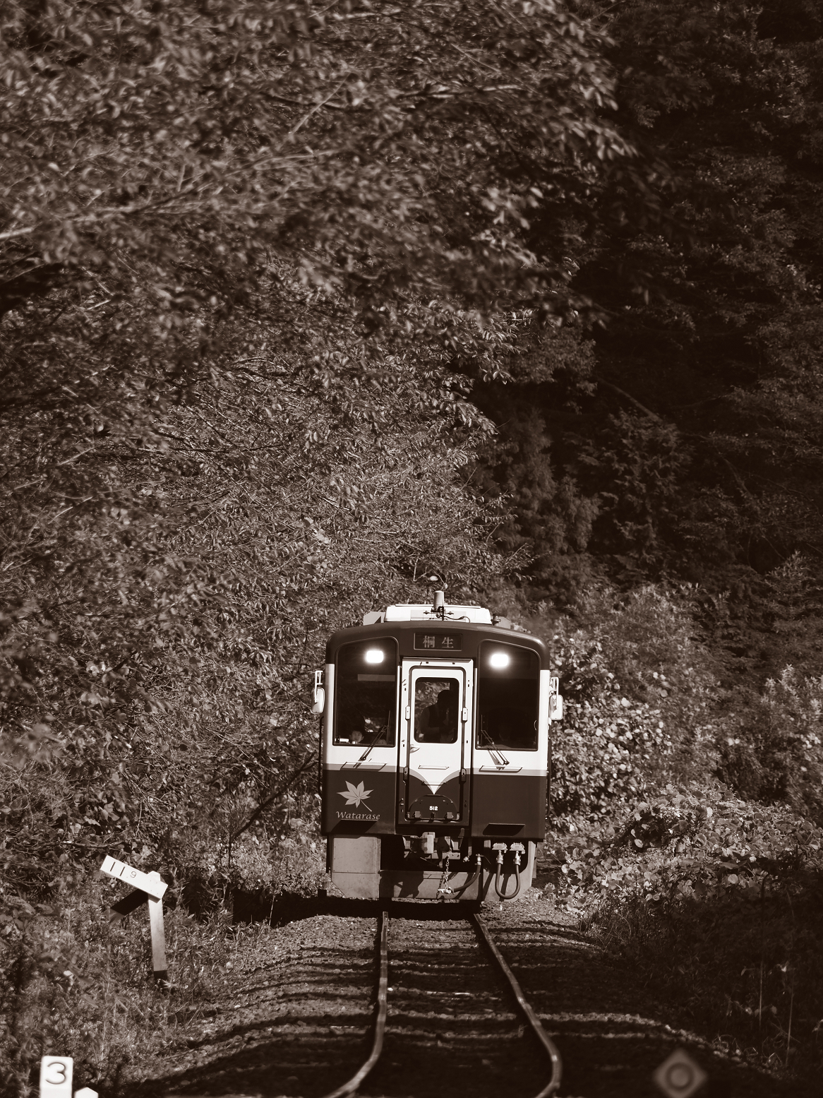 PA080139.jpg