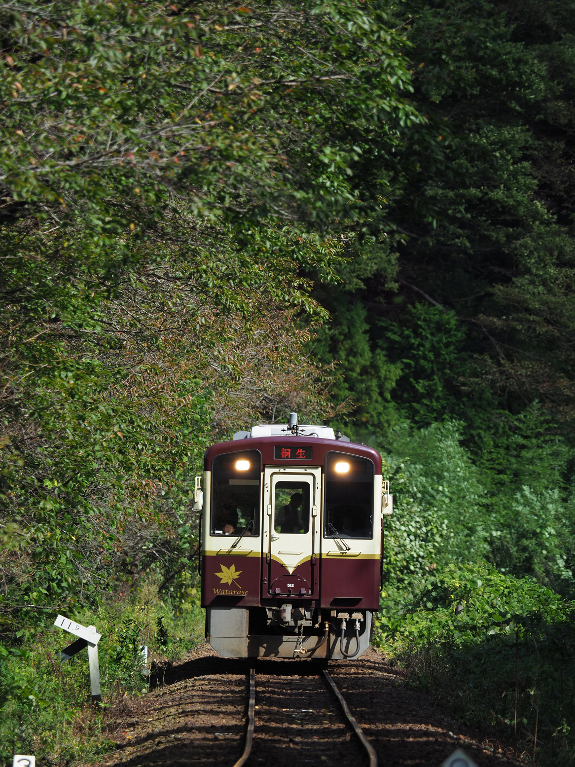 PA080155.jpg