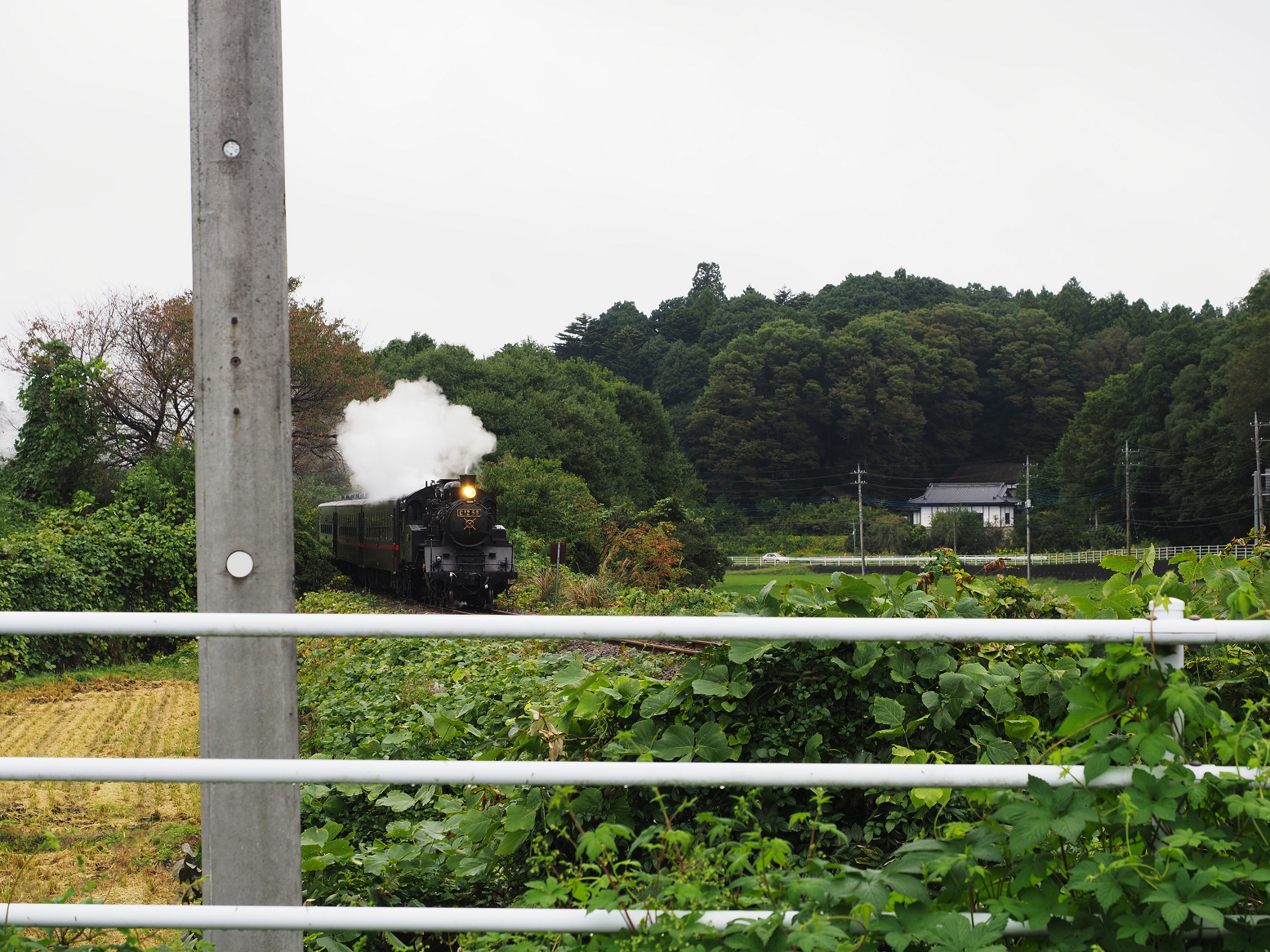 PA140225.jpg
