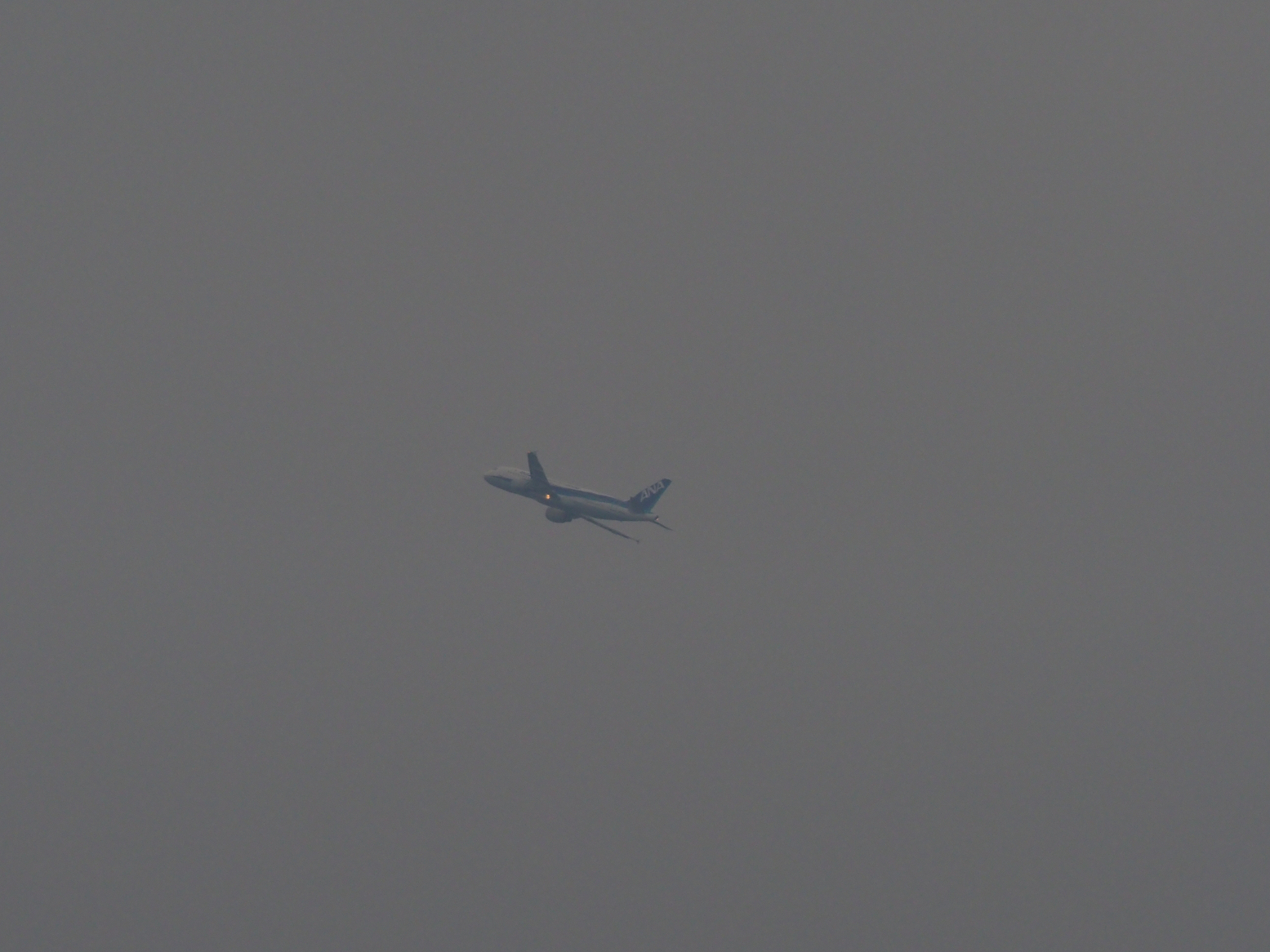 PC080125.jpg