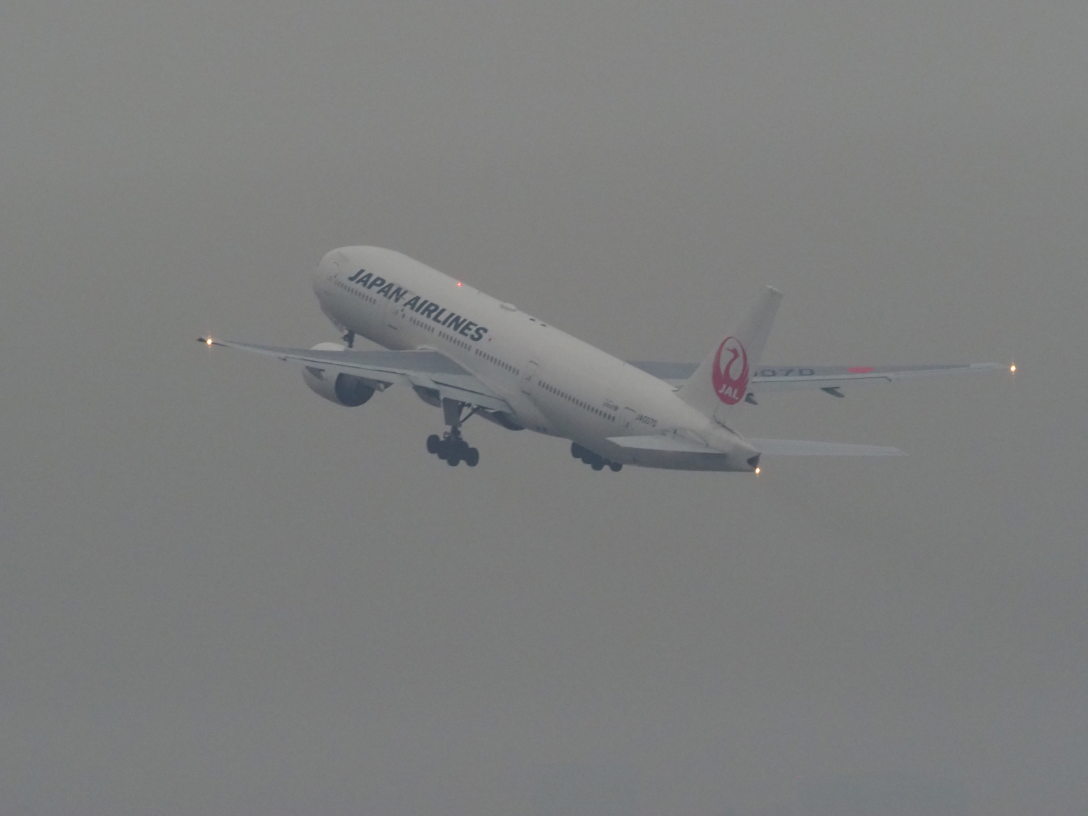 PC080142.jpg
