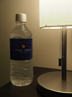 PC080175_thumb.png